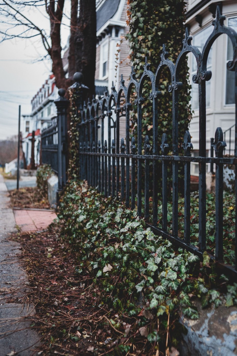 Aluminum Fence example 2