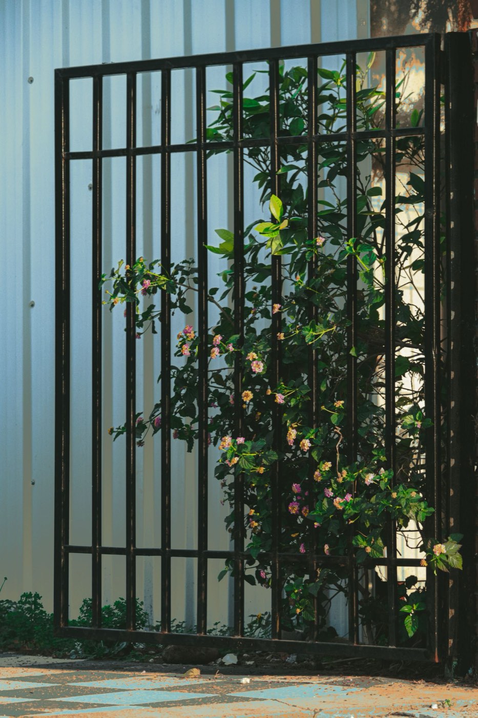 Aluminum Fence example