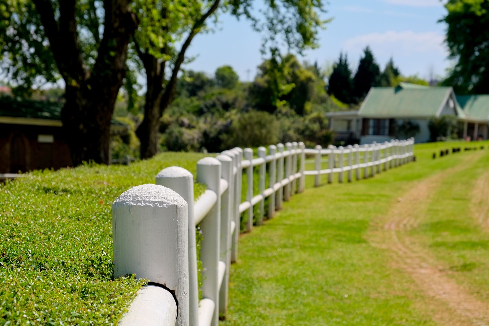 Vinyl Fence example 4