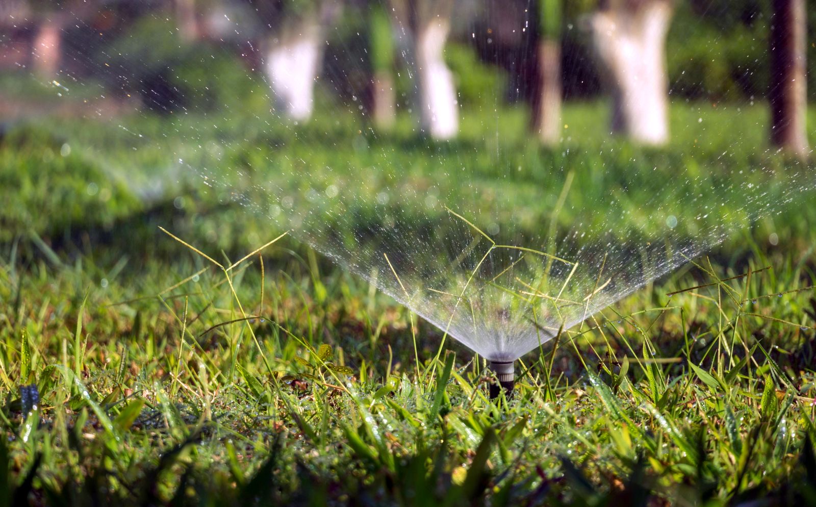Sprinkler Systems example 2