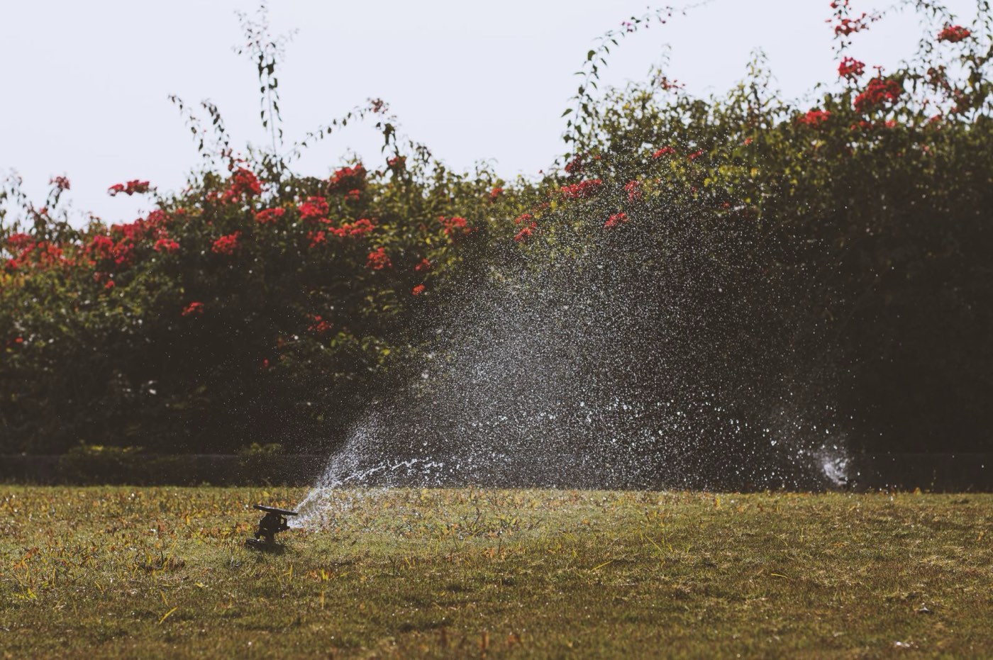 Sprinkler Systems example 3