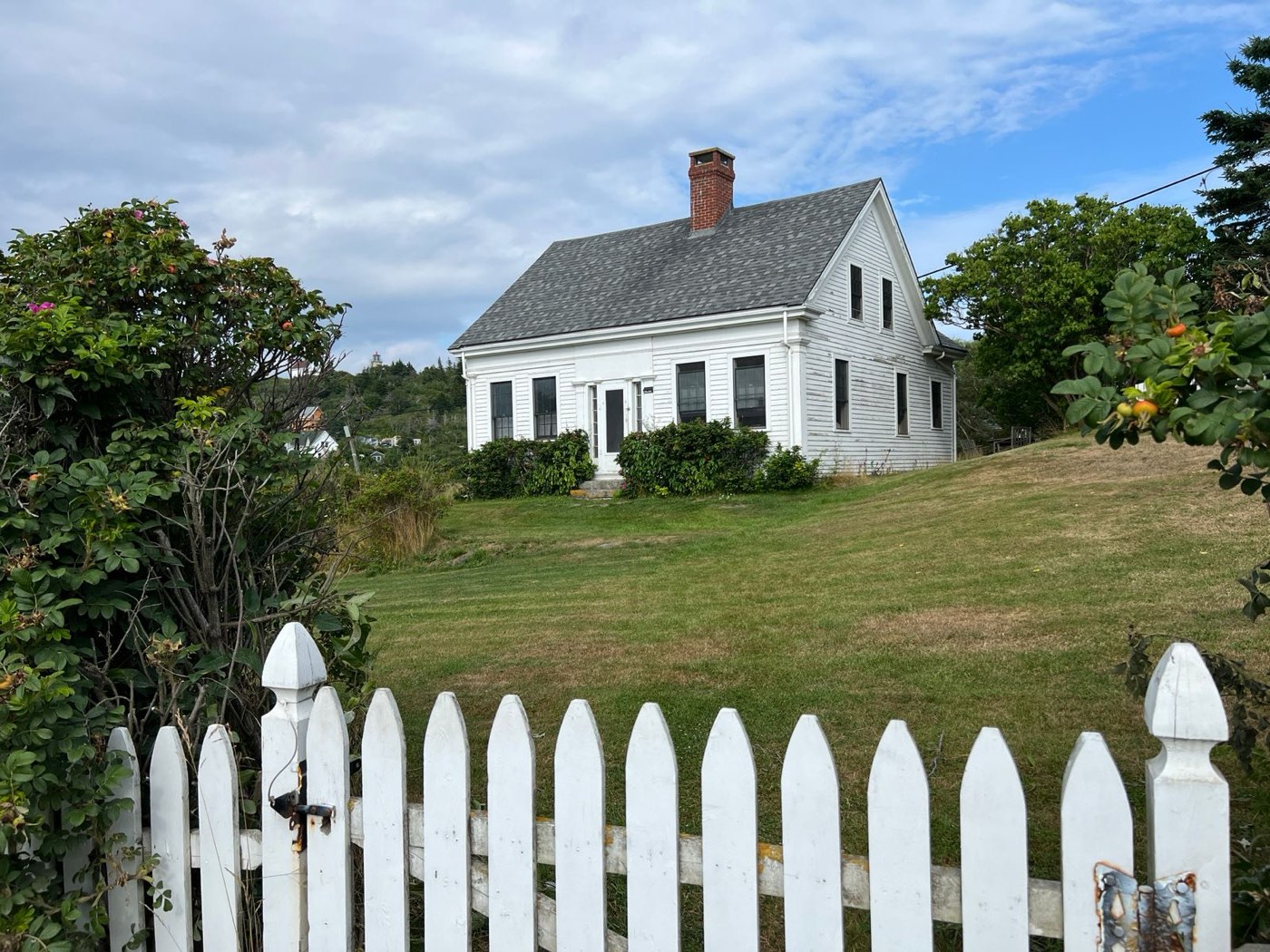 Vinyl Fence example