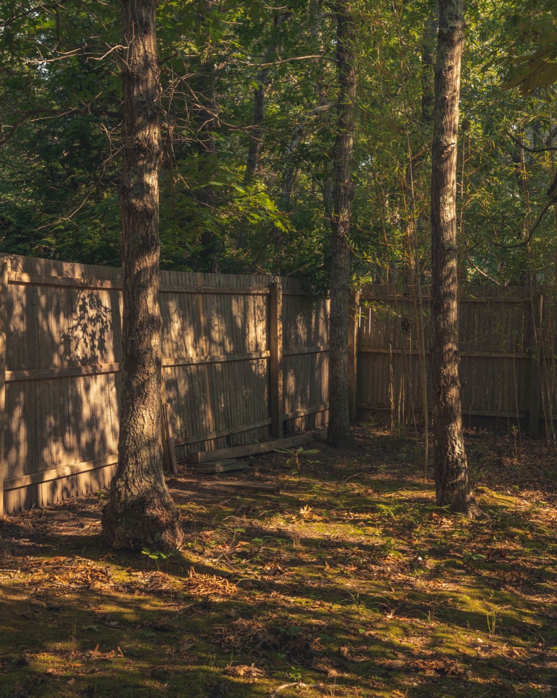 Wood Fence example